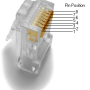 rj45plug-8p8c.png
